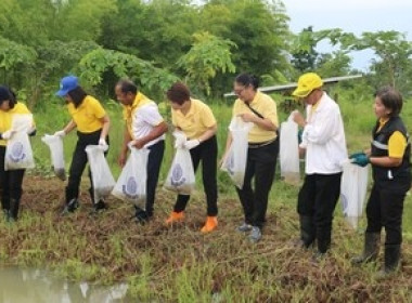 จัดกิจกรรมปลูกป่าเฉลิมพระเกียรติพระบาทสมเด็จพระเจ้าอยู่หัว ... พารามิเตอร์รูปภาพ 10